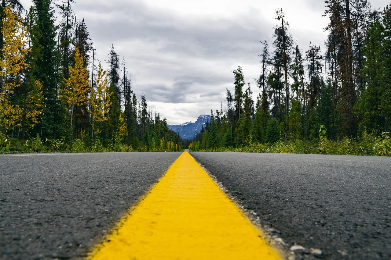 Stock photo: Parallel white lines painted on an asphalt road