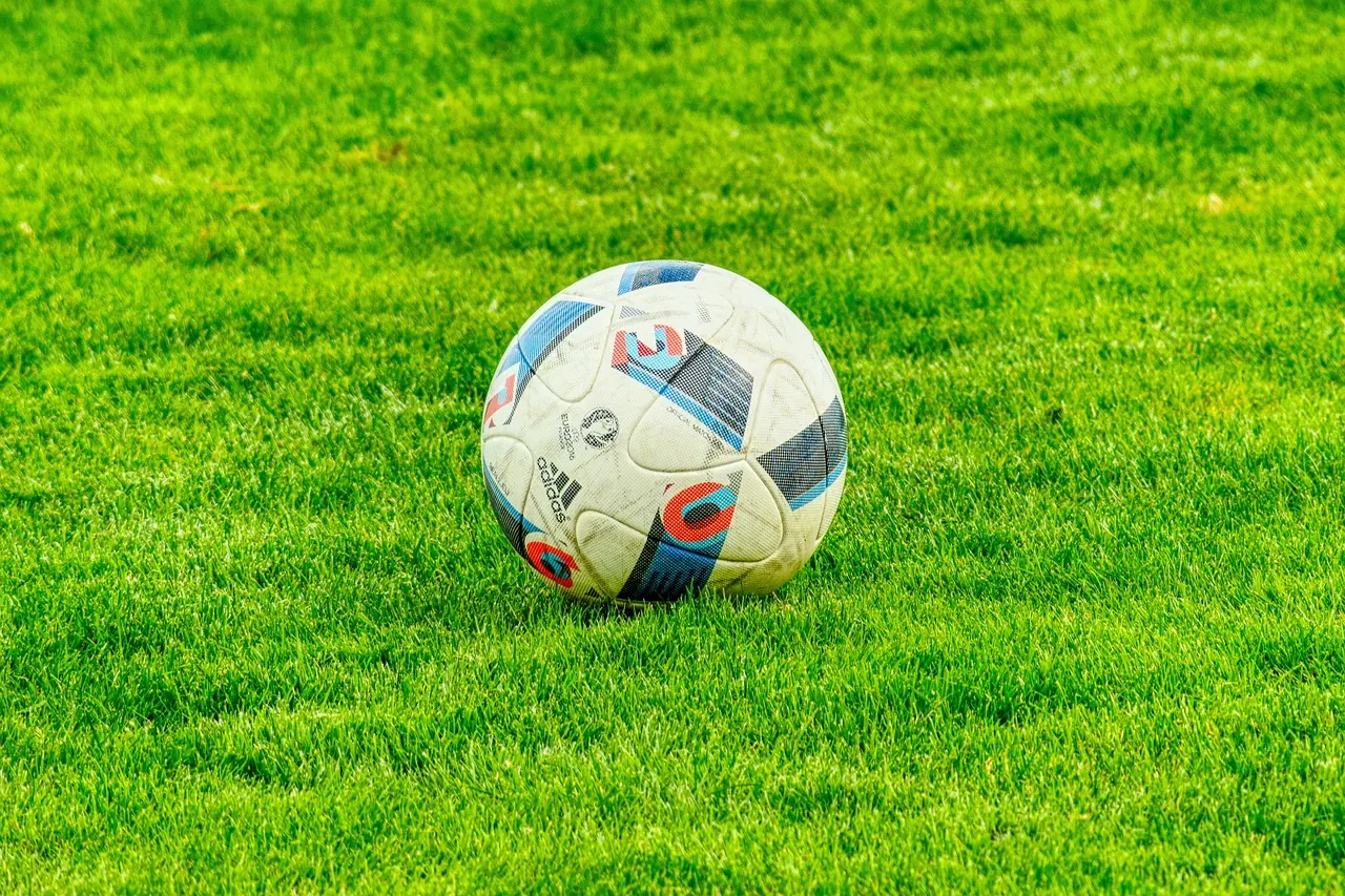 Foto de archivo: football on grass