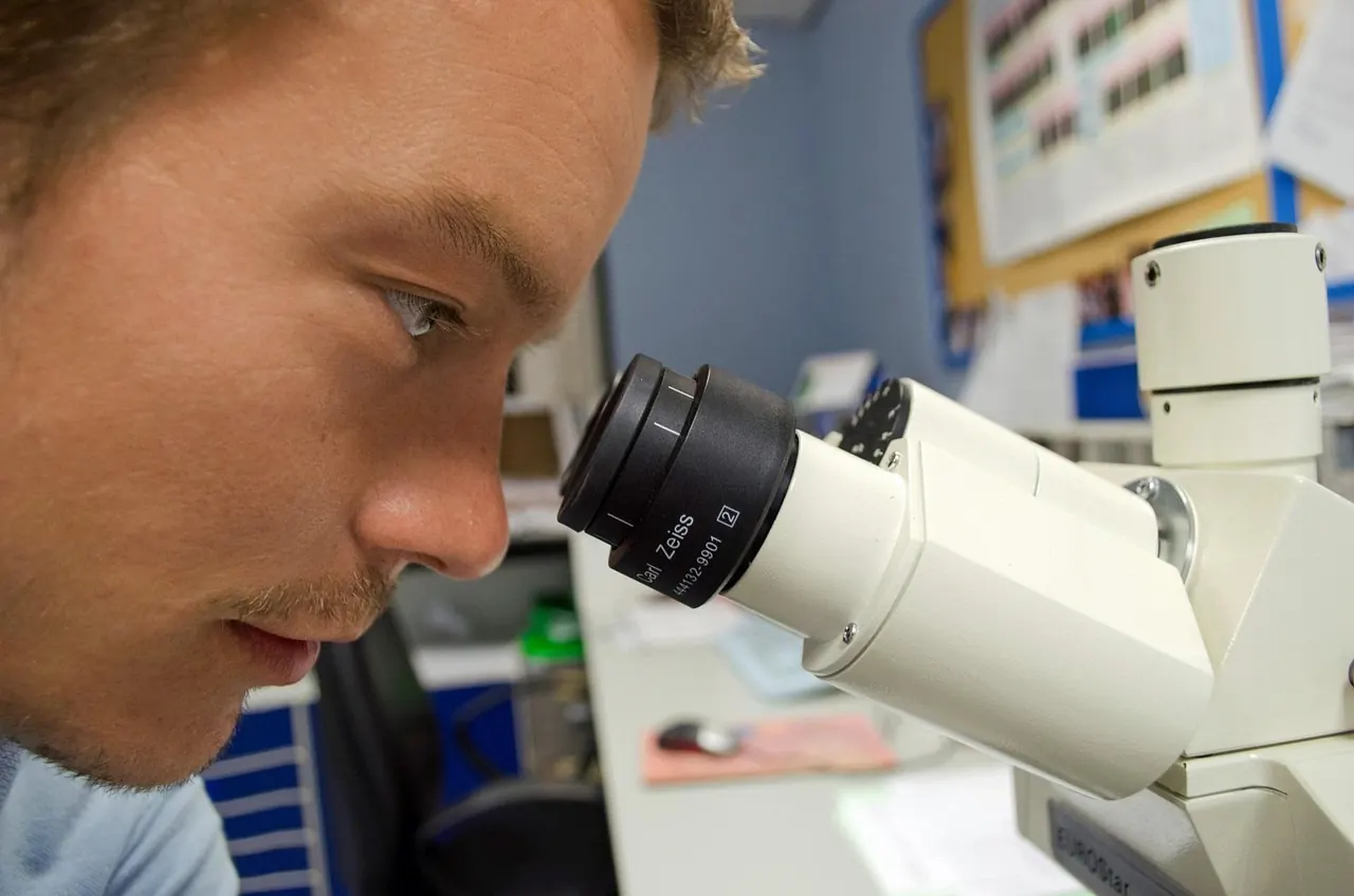 Foto de archivo: Científico trabajando con microscopio en laboratorio