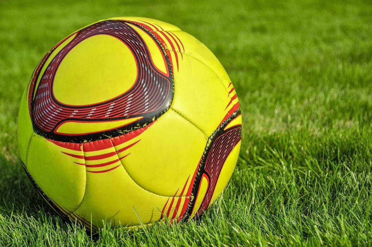 Foto de archivo: football on grass