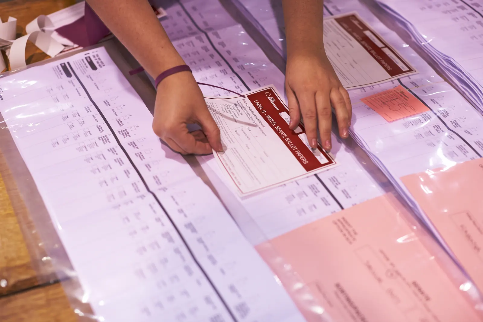 Stock photo: election worker counting paper ballots slowly