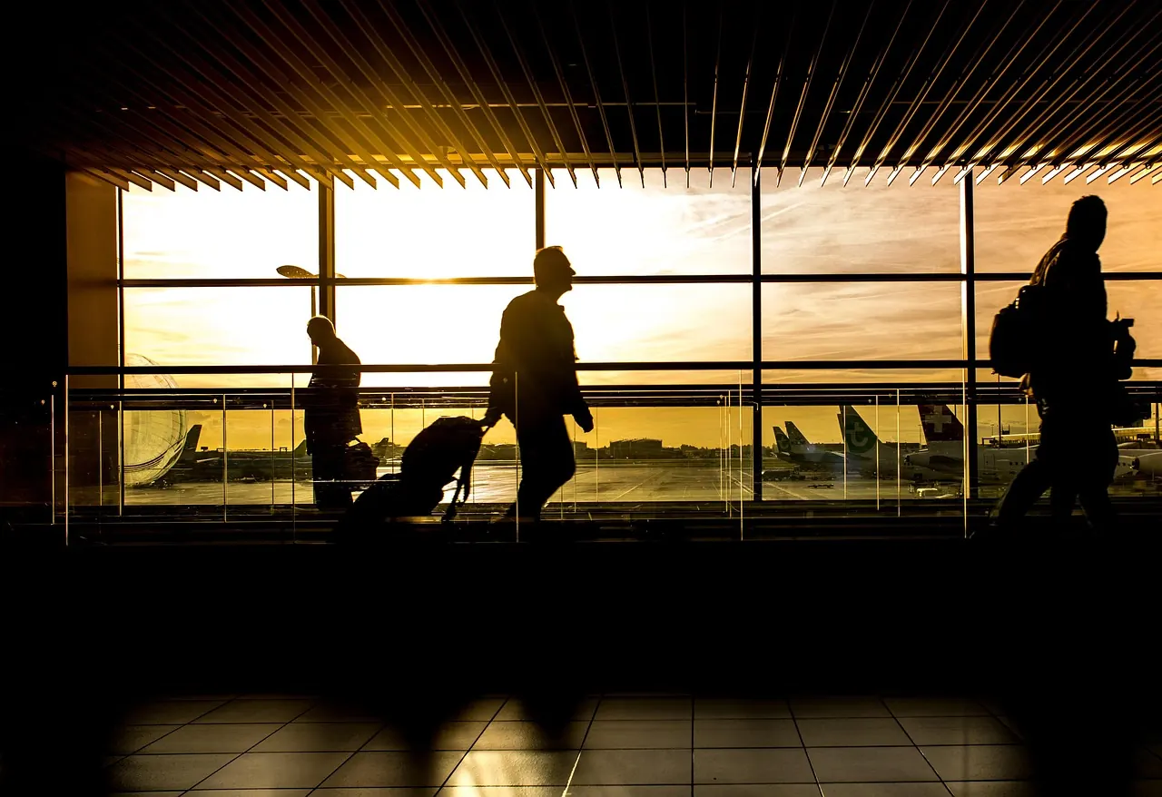 Stock photo: green parrot standing in airport terminal