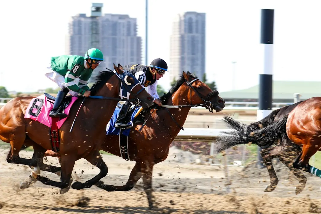 Stock photo: racehorse galloping across the finish line
