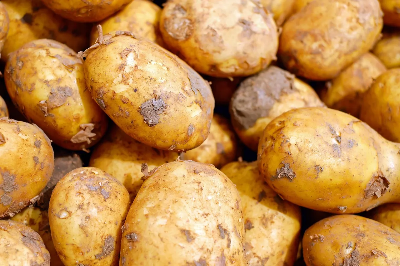 Stock photo: withered root vegetables on a wooden table