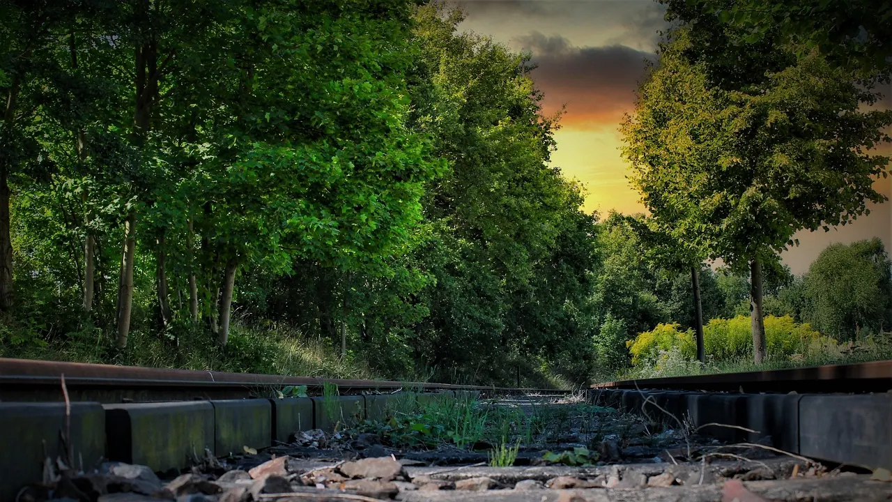 Stock photo: empty railway tracks stretching into distance