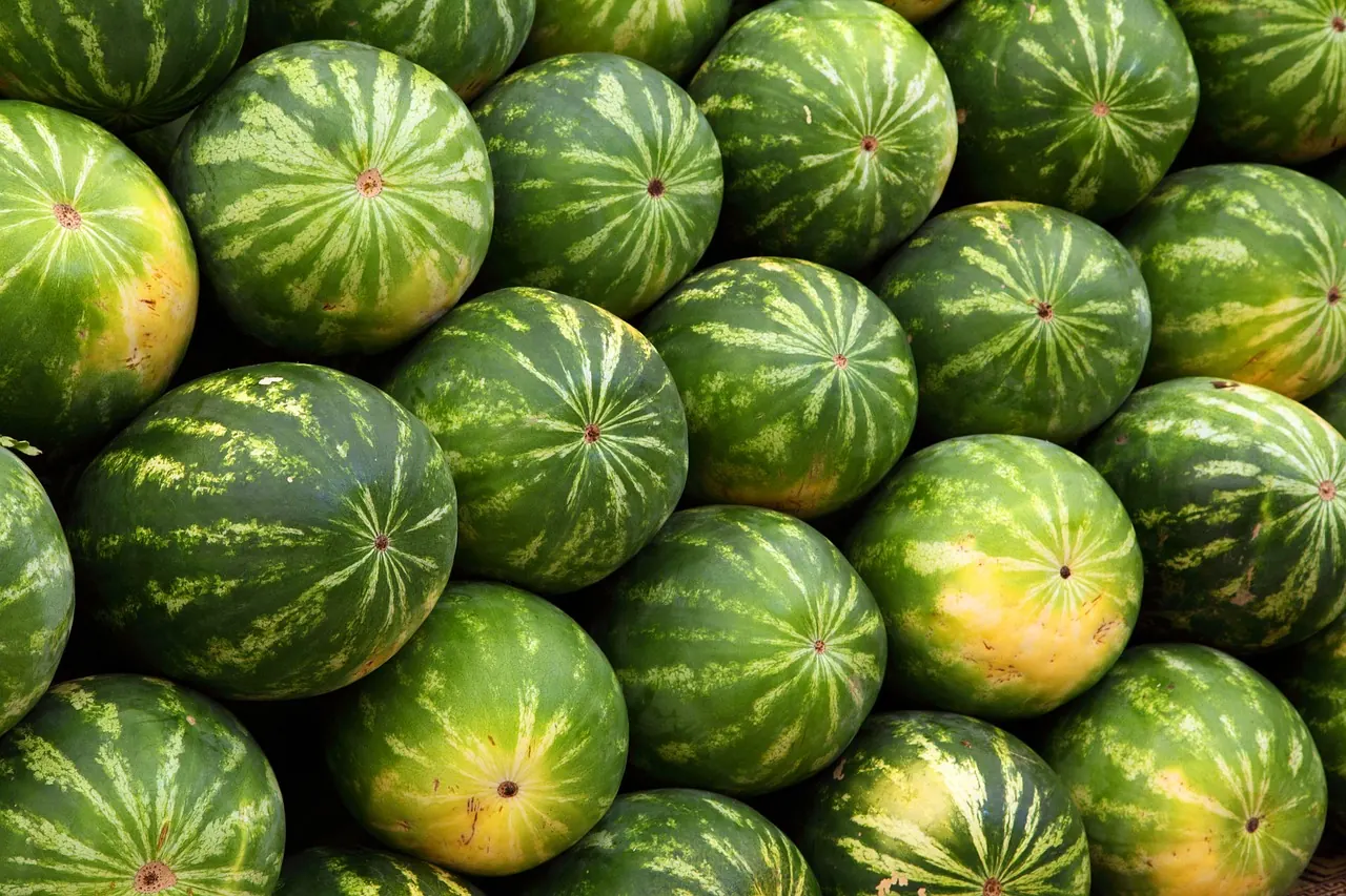 Fotografie de arhivă: lăzi cu legume proaspete la aprozar