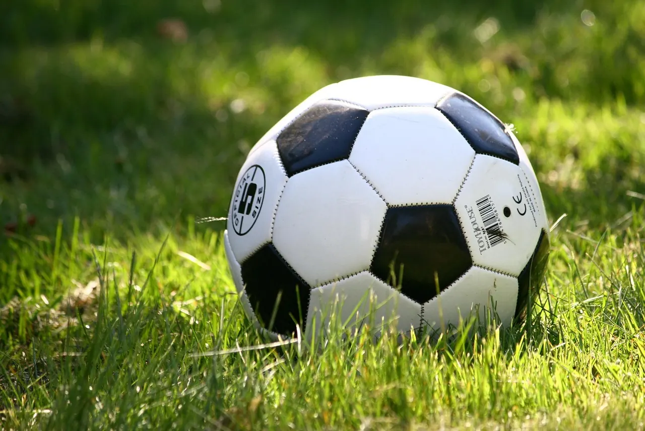 Fotografie de arhivă: minge de fotbal pe teren cu iarbă