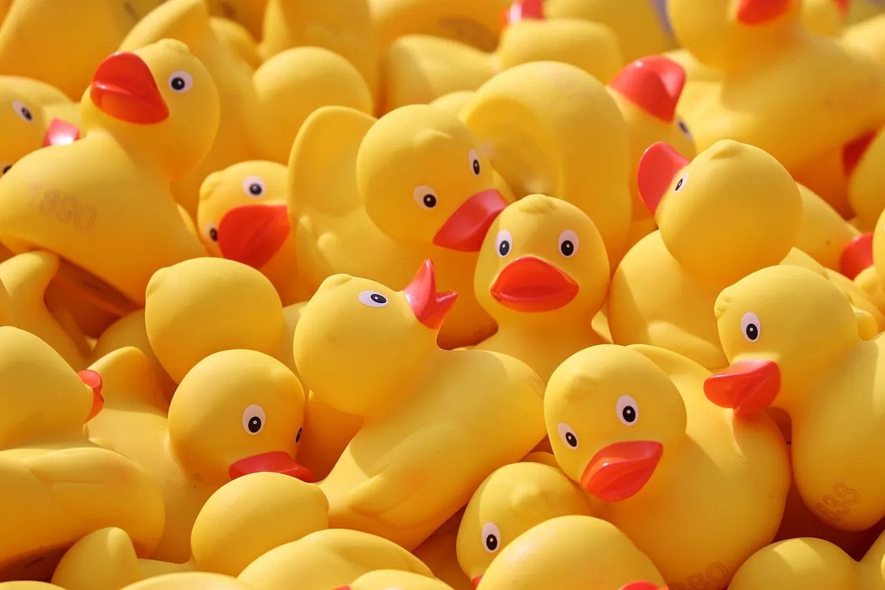 Fotografie de arhivă: rubber duck