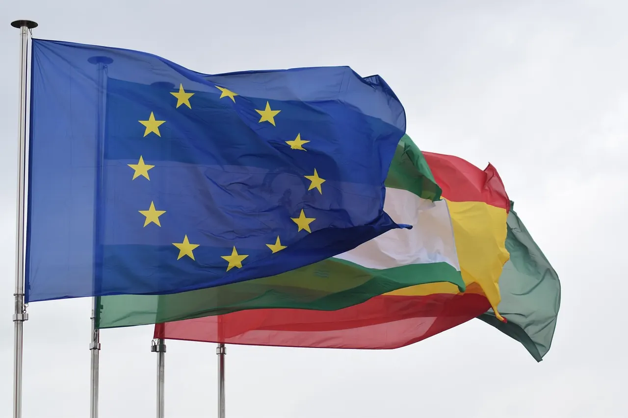 Fotografie de arhivă: european union flag