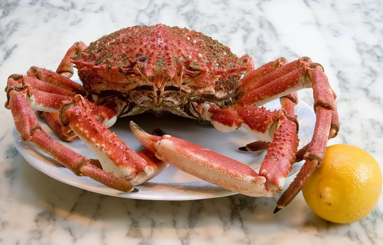 Fotografie de arhivă: crab gătit pe o farfurie gourmet