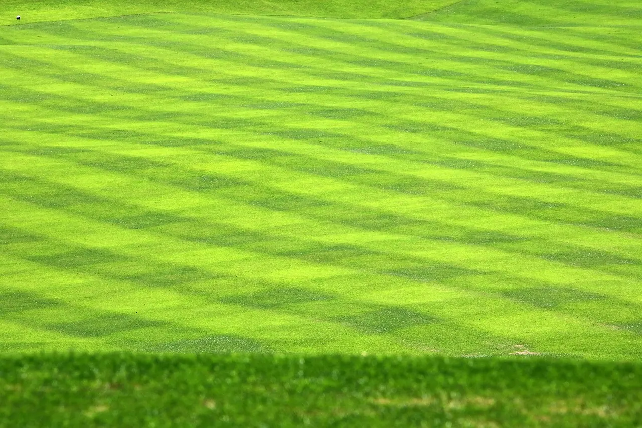 Stock photo: long shadow across an empty sports field